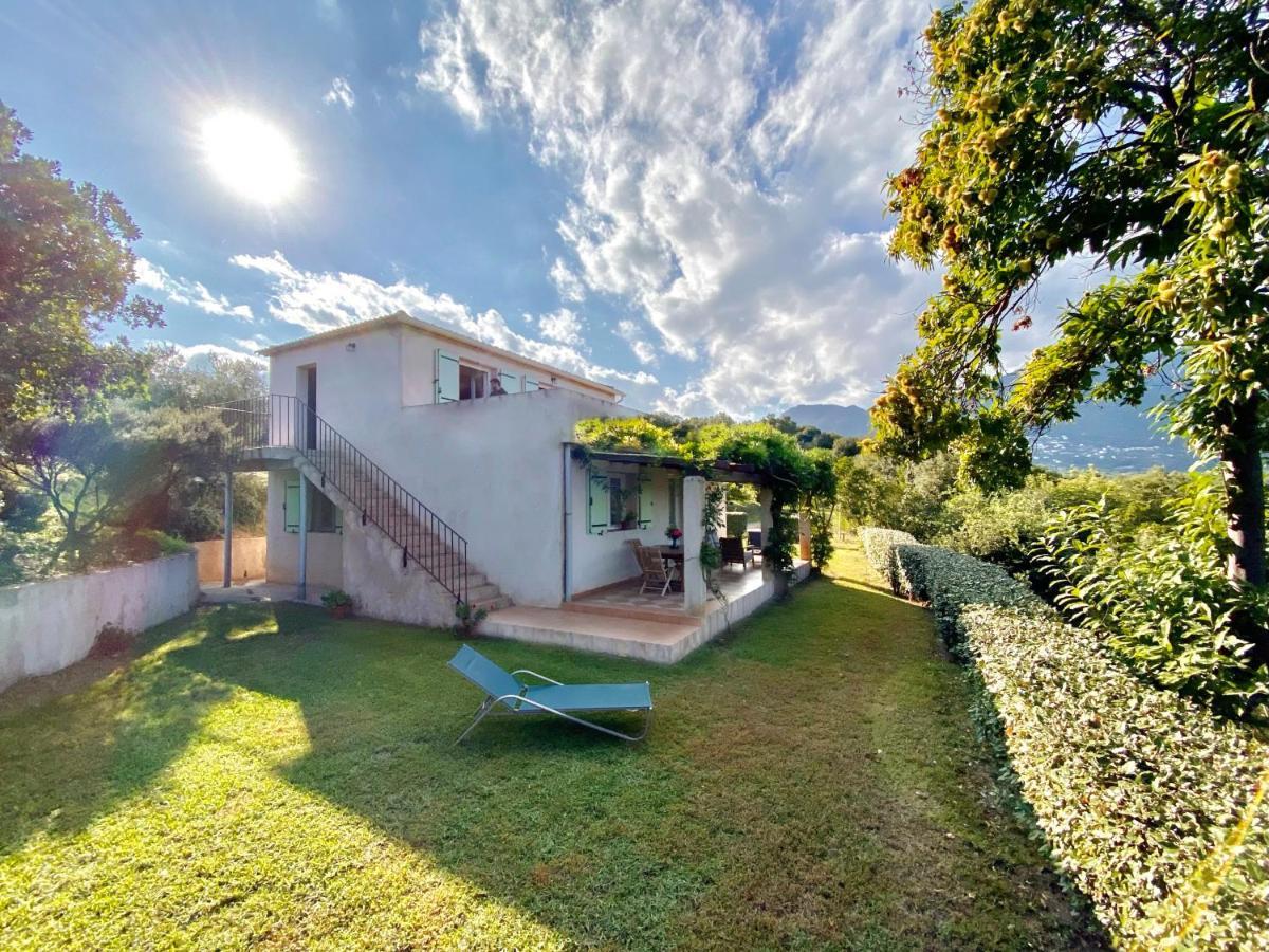 Domaine Punta Della Guardia Villa Vue Mer Dans Nature Protegee, Plage A 1,5 Km Cervione Exterior photo
